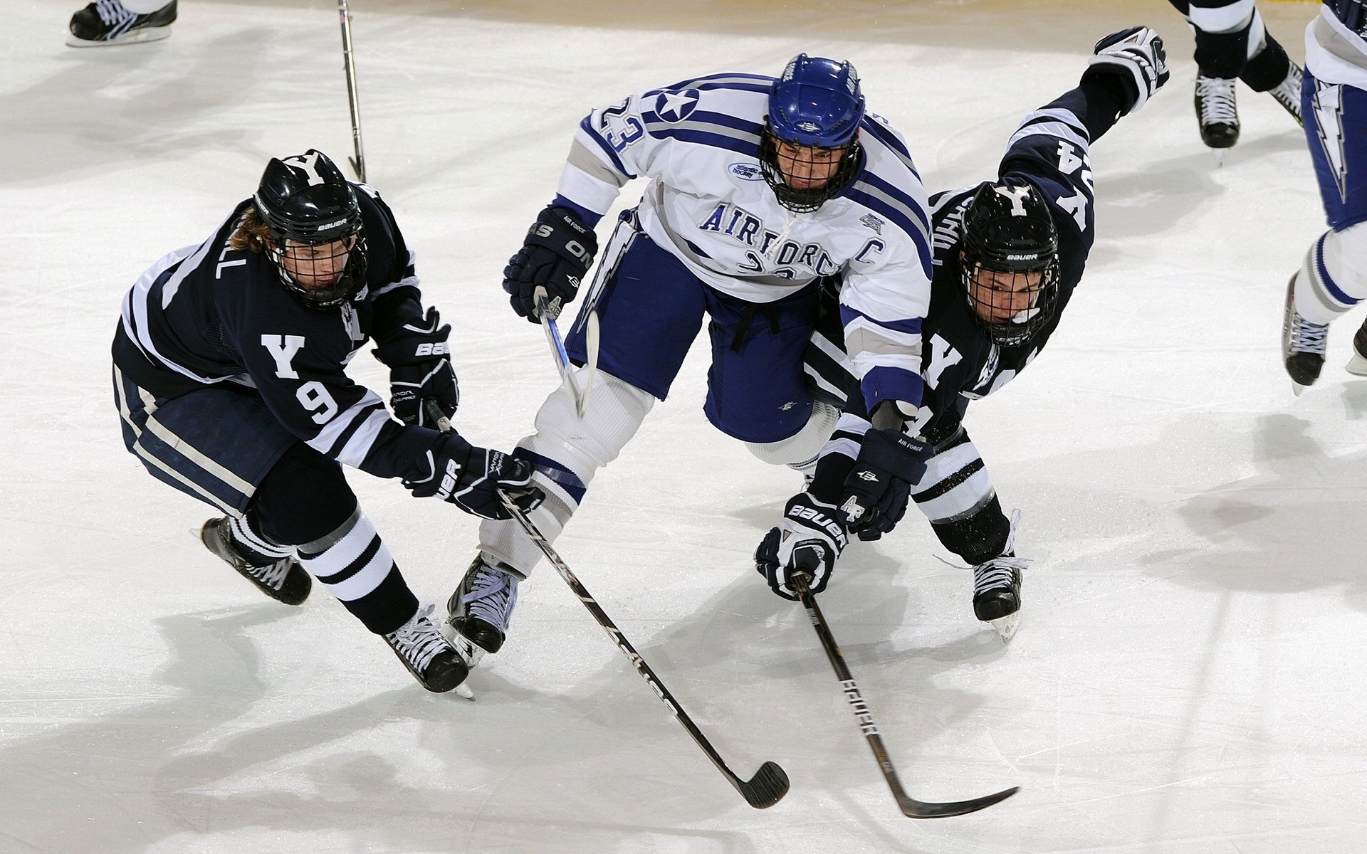 掘金主场胜单元，约基奇决胜局掷地有声领军，掘金约基奇哪里人